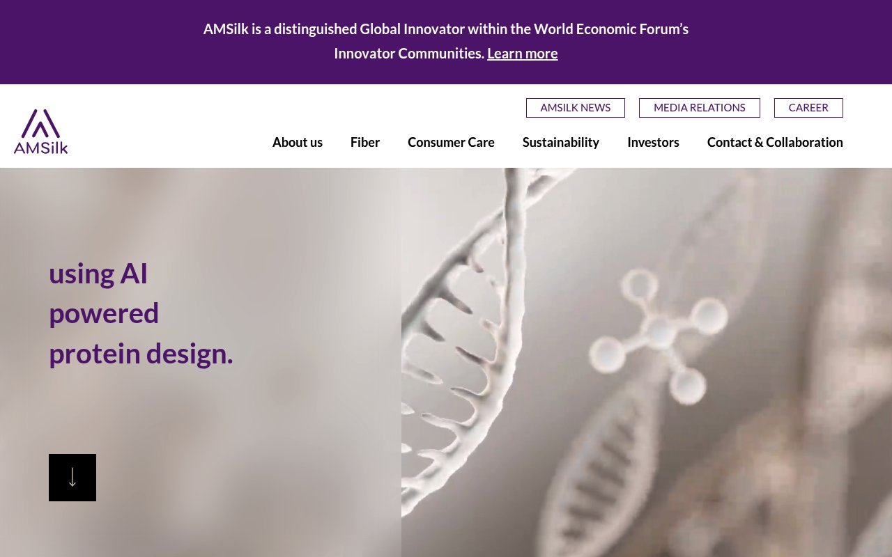 AMSILK website preview