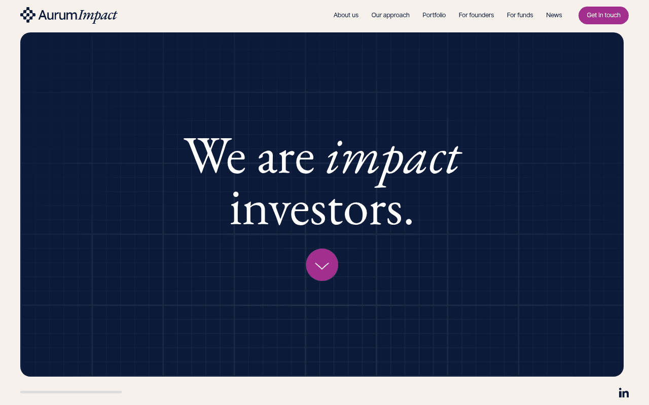 Aurum Impact website preview