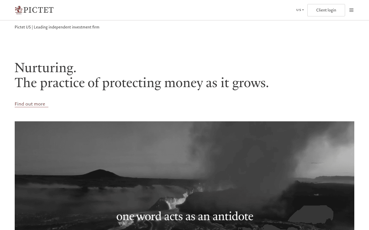 Pictet website preview