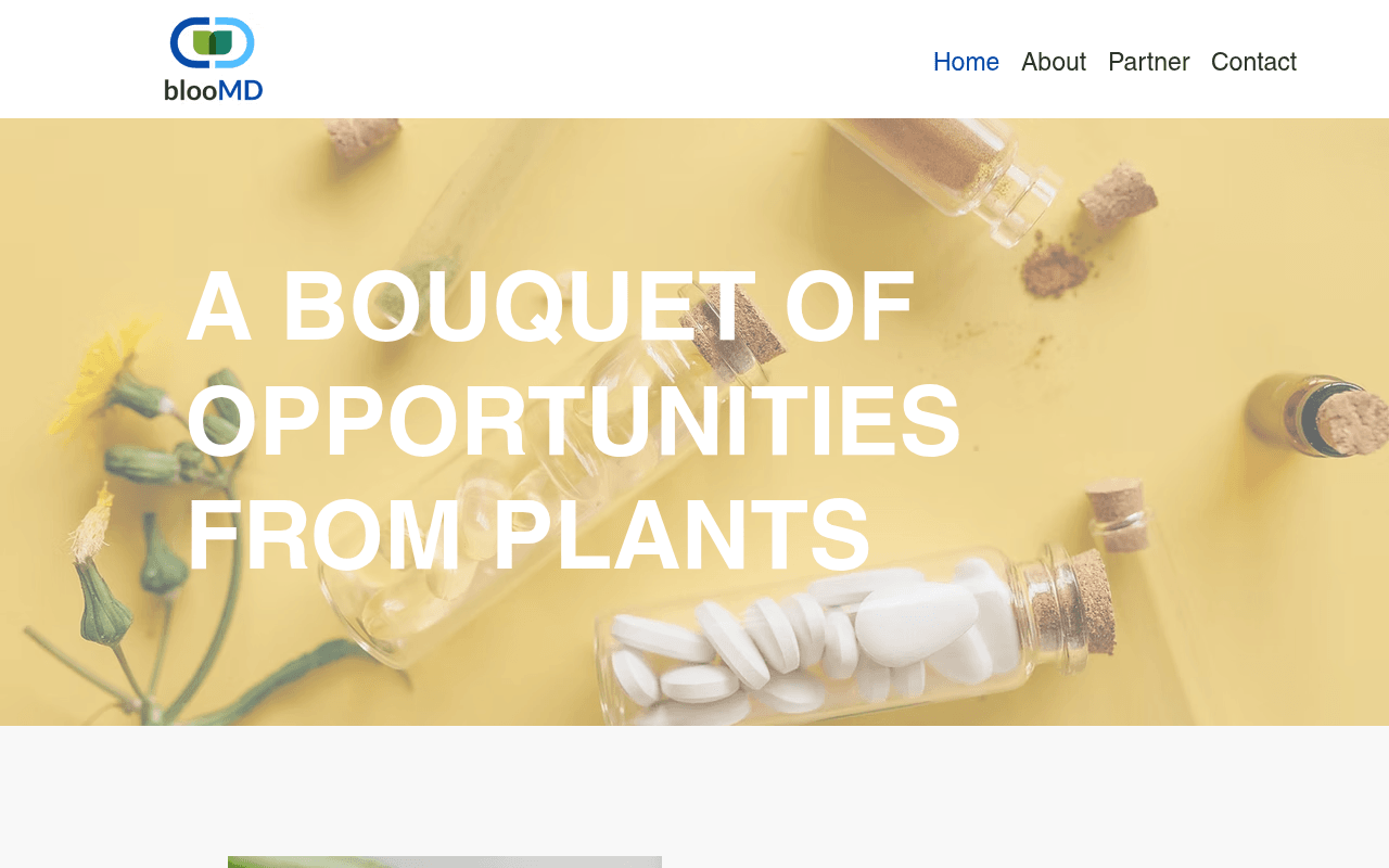 Bloomd website preview