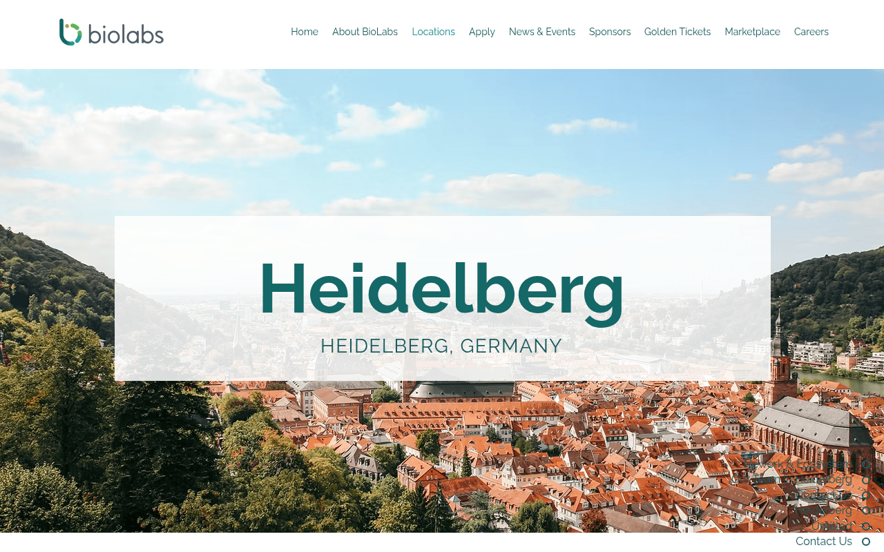 BioLabs Heidelberg website preview