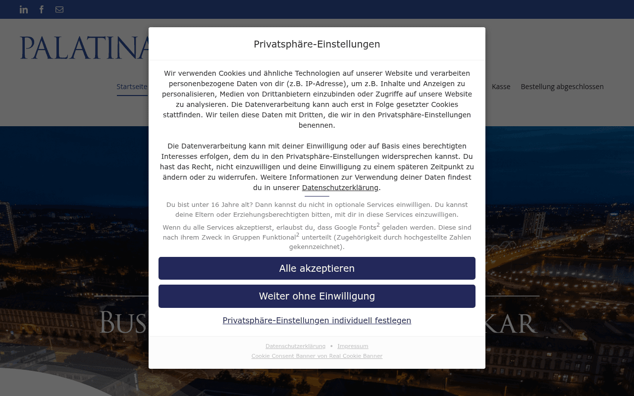 PALATINA Business Angels Rhein-Neckar e.V. website preview